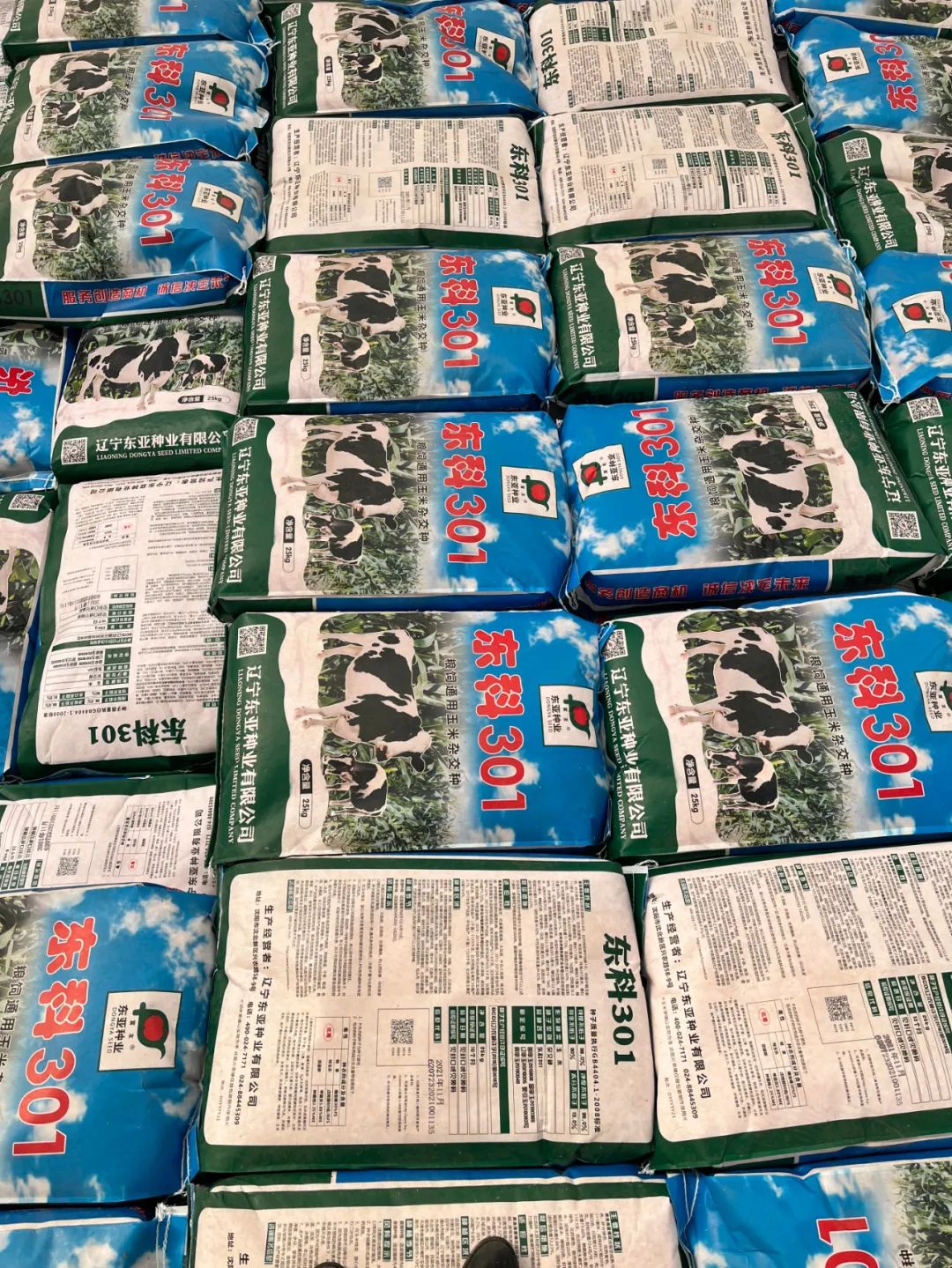 1650257962.jpg 1650257962.jpg